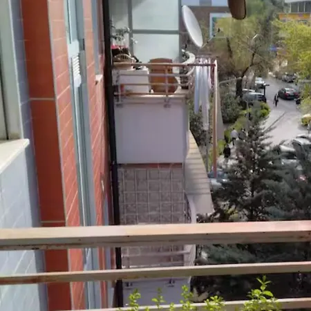 Home * Tirana